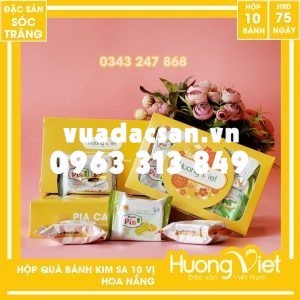 Hộp quà 10 bánh 10 vị kim sa Tân Huê Viên – Hộp Quà Hoa Nắng